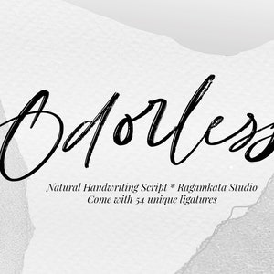 Odoeless Skript Handschrift Schrift Handschrift - Handgeschriebene Serif Schriftart, Procreate Schriftart, Logo Schriftart, Bauernhaus Schriftart, Cricut Schriftart, Hochzeit Schriftart