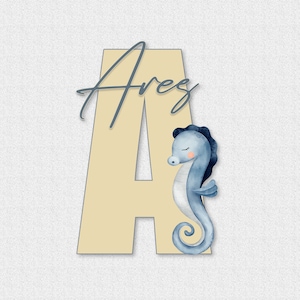 Signo de nombre de madera de caballito de mar para guardería, decoración de habitación de niño, placa de nombre de bebé, regalos personalizados para bebé, signo de nombre de bebé para hospital
