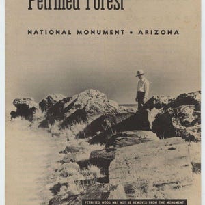 1955-Versteinerte Forest Nationalmonument Arizona-Touristenreise-Broschürenführer