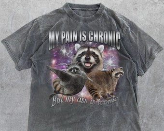 Mein Schmerz ist Chronischer Waschbär Vintage Bootleg T-Shirt, lustiges 90er Jahre Retro Waschbär-T-Shirt, seltsames T-Shirt, Meme-T-Shirt, Müll-Opossums, verrückte Hemden