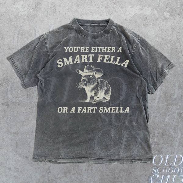 Are You A Smart Fella Or Fart Smella Shirt im Vintage-Stil, Retro-Cartoon-T-Shirt, seltsames T-Shirt, Meme-T-Shirt, Cabybara-Shirt, entspannte Baumwolle