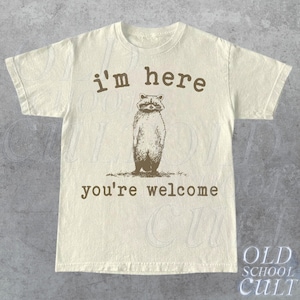 I'm Here You Are Welcome Retro T-Shirt, Vintage 90s Raccoon T-shirt, Funny 90s Trash Panda Shirt, Minimalistic Unisex Shy Graphic Tee