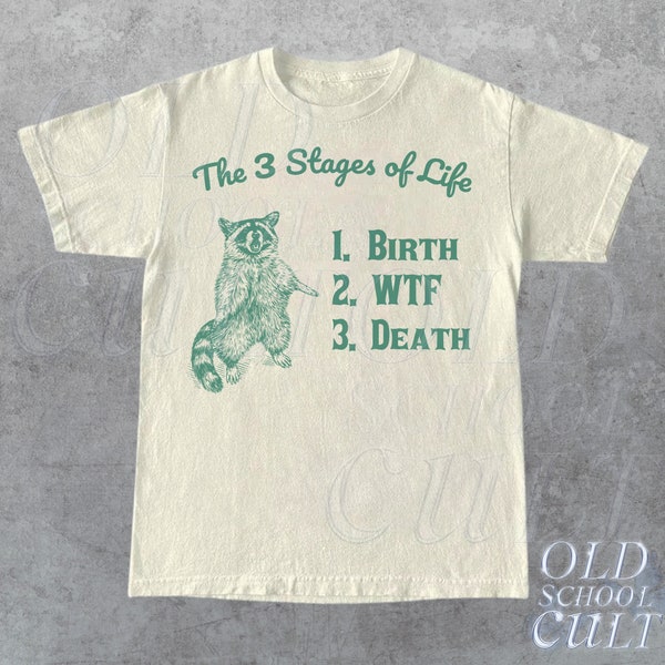Three Stages Of Life Retro T-Shirt, Funny Raccoon T-shirt, Raccoon Lover Gift, Vintage 90s Gag Shirt, Raccoon Meme Shirt, Unisex Shirt