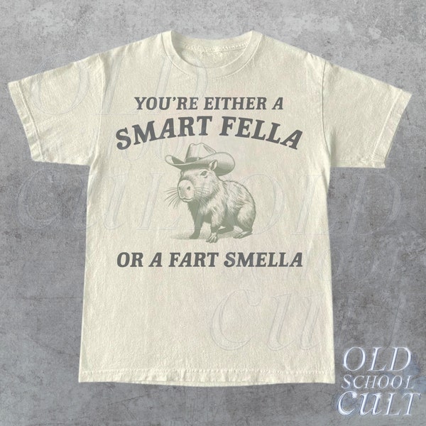 Are You A Smart Fella Or Fart Smella Vintage Style Shirt, Retro Cartoon T Shirt, Weird T Shirt, Meme T Shirt, Cabybara Shirt, Relaxed Cotton