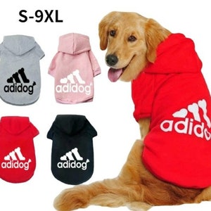 Dog adidas sweatshirt shop