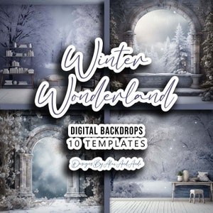Winter Wonderland Digital Backdrop Overlay Background Wedding Birthday Child Photo Picture Studio Event Party Back Drop