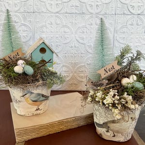 Bird themed spring birds nest arrangement in peat pots spring bird nest assemblage farmhouse French country cottage decor bottle brush trees