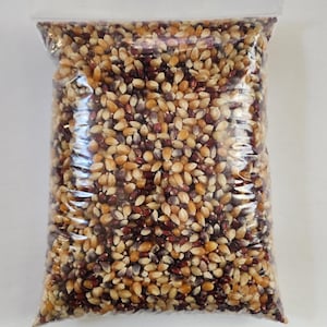 1 lb. Organic Heirloom Popcorn grain (dry not sterilized), Great for creating mushroom grain spawn.