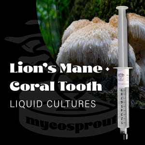 Lions Mane Mushroom Liquid Cultures, Free Shipping over 35 dollars! Hericium Varieties.