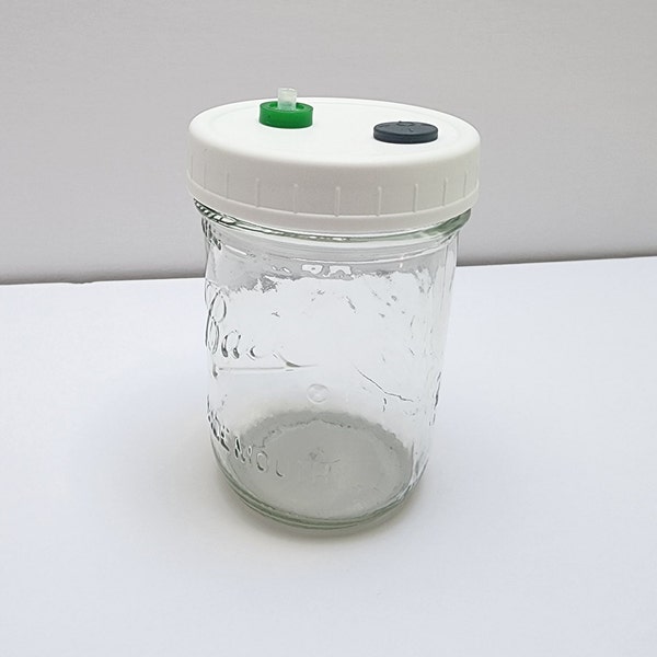 Liquid Culture Jar Etsy