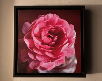 Enkele bleke roos - Ingelijste canvasdruk