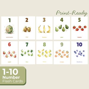 Può includere: Un set di dieci flash card ad acquerello con i numeri da 1 a 10 e vari frutti. Ogni carta mostra un frutto diverso, tra cui anguria, kiwi, banana, pera, pomodoro, mela, lime, limone, arancia e mirtillo. Sono visibili anche le parole "Print-Ready" e "Number Flash Cards".