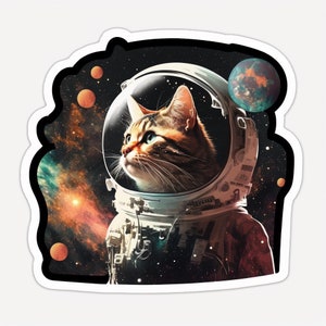 Cat Sticker