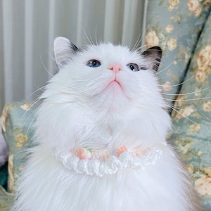 Cute Strawberry Soft Crochet Collar for Cats Clothes Knitted Neckwear Outfit Handmade Cat Accessory Adjustable Bib Cat Lover Gift for Kitten