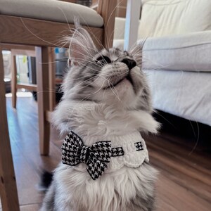 Cute Soft Kitten Collar with Bow Pet Fashion Cat Clothes Cat Costume Outfit Wear Handmade Crochet Pet Accessories Neckwear Bib