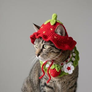 Chapéu de crochê fofo com morango vermelho para gato, fantasia kawaii para gatinho, acessórios de tricô, roupa divertida para gatinho, presente adorável para amante de gatos.