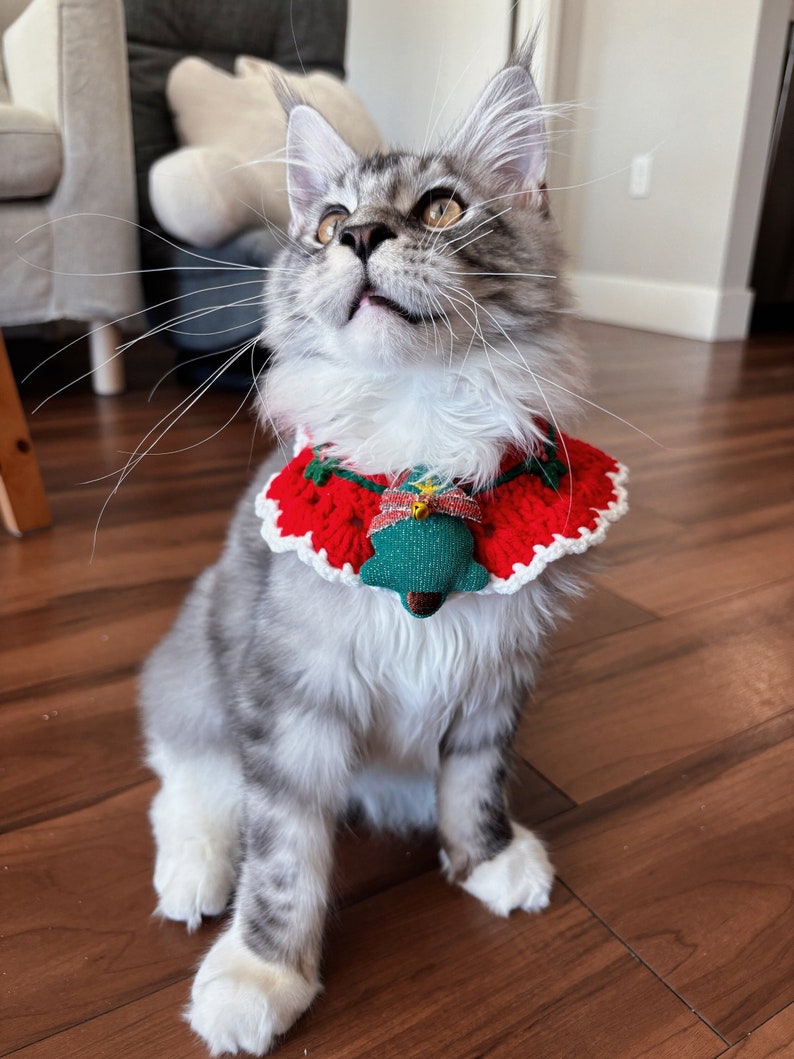 Cute Christmas Crochet Cat Collar Clothes for Cats Pet Costume Cat Outfit Fashion Wear Handmade Cat Accessory Red Bell Neckwear Green Bib image 2