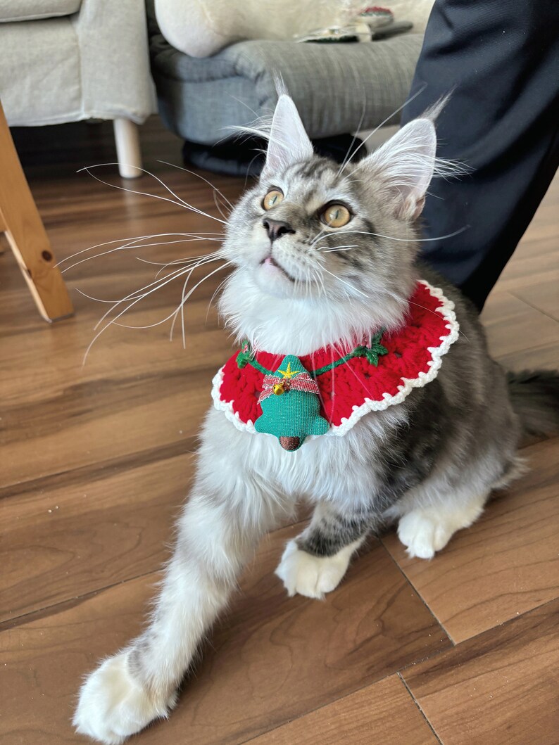 Cute Christmas Crochet Cat Collar Clothes for Cats Pet Costume Cat Outfit Fashion Wear Handmade Cat Accessory Red Bell Neckwear Green Bib image 8