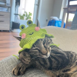 May include: A lime green crocheted hat designed to look like a frog, featuring two small black-centred eyes on top, two pink circular cheeks, and a scalloped brim. The hat is worn by a brown and black tabby cat with its eyes closed.