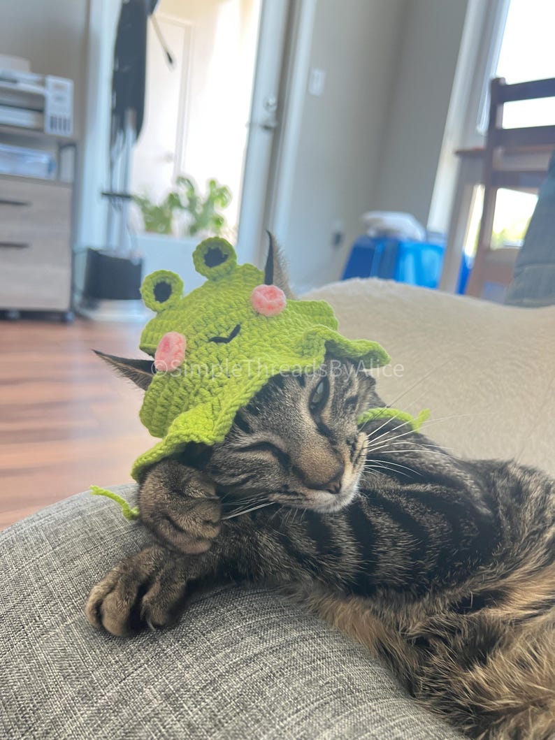May include: A lime green crocheted hat designed to look like a frog, featuring two small black-centred eyes on top, two pink circular cheeks, and a scalloped brim. The hat is worn by a brown and black tabby cat with its eyes closed.