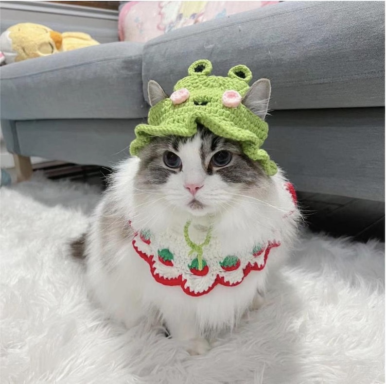 May include: A long-haired cat wearing a light green crocheted frog hat with small pink accents and a white crocheted collar featuring a red scalloped edge and a pattern of small red strawberries with green leaves around the neckline.