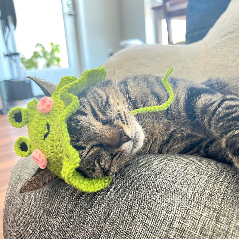 May include: A crocheted green frog hat featuring a ruffled brim, two small black and green eyes, and two pink circular accents on the front. The hat includes a long, thin green crocheted string attached to the side, resting on a tabby cat.