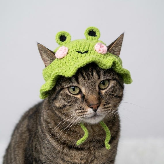 Handmade Soft Crochet Frog Cat Hat | Cute Green Kitten Costume Pet Halloween Outfit Birthday Photo Prop Gift for Cat Lovers Knit Bucket Hat