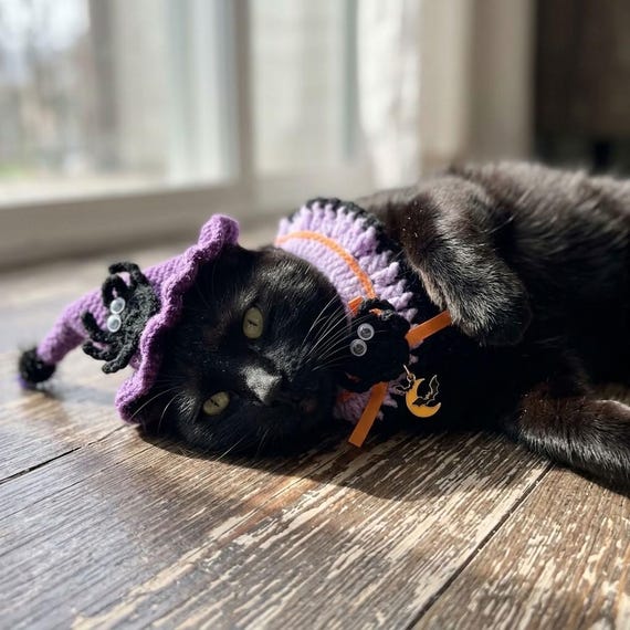 Cat Halloween Outfit Crochet Collar for Cats Clothes Knitted Neckwear Cute Cat Hat Handmade Cat Accessory Adjustable Bib Cat Lover Gift
