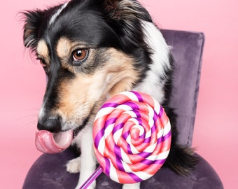 Single Pink Fake Lollipop Prop / Popular Photography Prop / Dog Party Prop / Photo Booth Prop / Ready To Ship