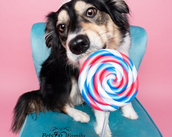 Single Colorful Pink and Blue Fake Lollipop Prop / Dog Photography Prop / Dog Party Prop / Birthday Party Prop /Children Photography Prop