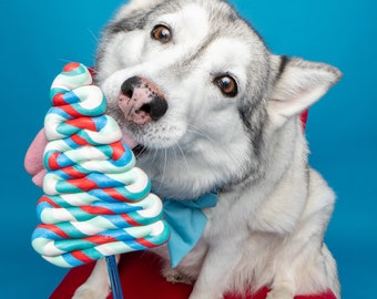 Single Blue Winter Themed Lollipop Prop / Dog Photography Prop / Dog Party Prop / Party Prop