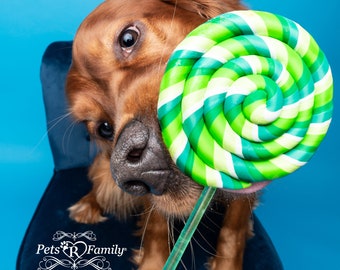 Single Green Fake Lollipop Prop / Dog Photography Prop / Dog Party Prop / Puppy First Birthday Party Prop / Fake Food Prop