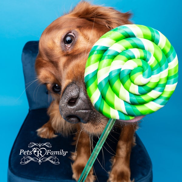 Single Green Fake Lollipop Prop / Dog Photography Prop / Dog Party Prop / Puppy First Birthday Party Prop / Fake Food Prop