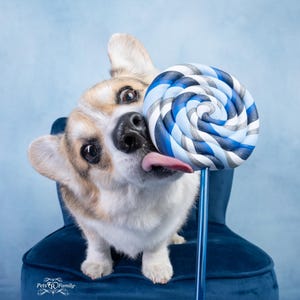 Single Blue With Silver Lollipop- Fake Lollipop Prop for Dog Photographers / Dog Photography Prop / Handmade, Colorful, Durable and Washable