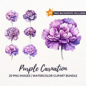 Waterverf Paarse Anjer Clipart Bundel - 20 Bloemige Bruidsboeket Afbeeldingen, Directe Download, Commercieel Gebruik
