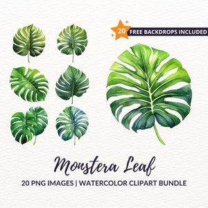 Watercolor Monstera Leaf Clipart Bundle - 20 Tropical Jungle Leaves, Greenery Watercolor Clipart, Instant Download, Commercial Use