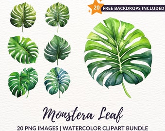Watercolor Monstera Leaf Clipart Bundle - 20 Tropical Jungle Leaves, Greenery Watercolor Clipart, Instant Download, Commercial Use