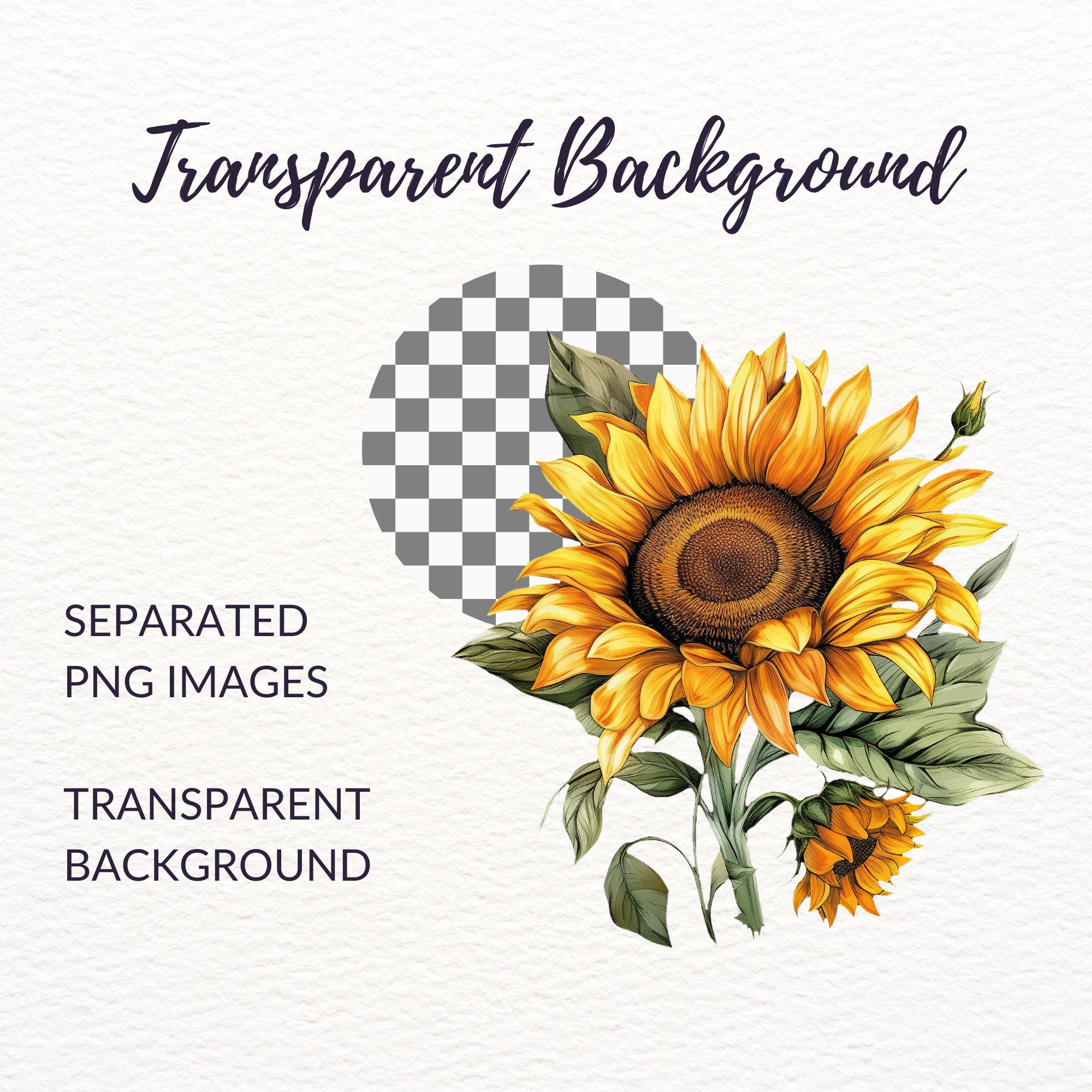 Watercolor Sunflower Clipart Bundle - 20 Sunflower PNG Images ...