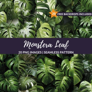 May include: A digital collage of 20 images featuring lush green monstera leaves with a seamless pattern. The text "Monstera Leaf" and "20 PNG Images | Seamless Pattern" is displayed on a purple banner.