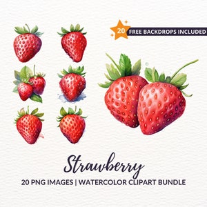 Aquarelle Fraise Clipart Bundle - 20 Baies sucrées PNG, Téléchargement instantané, Utilisation commerciale