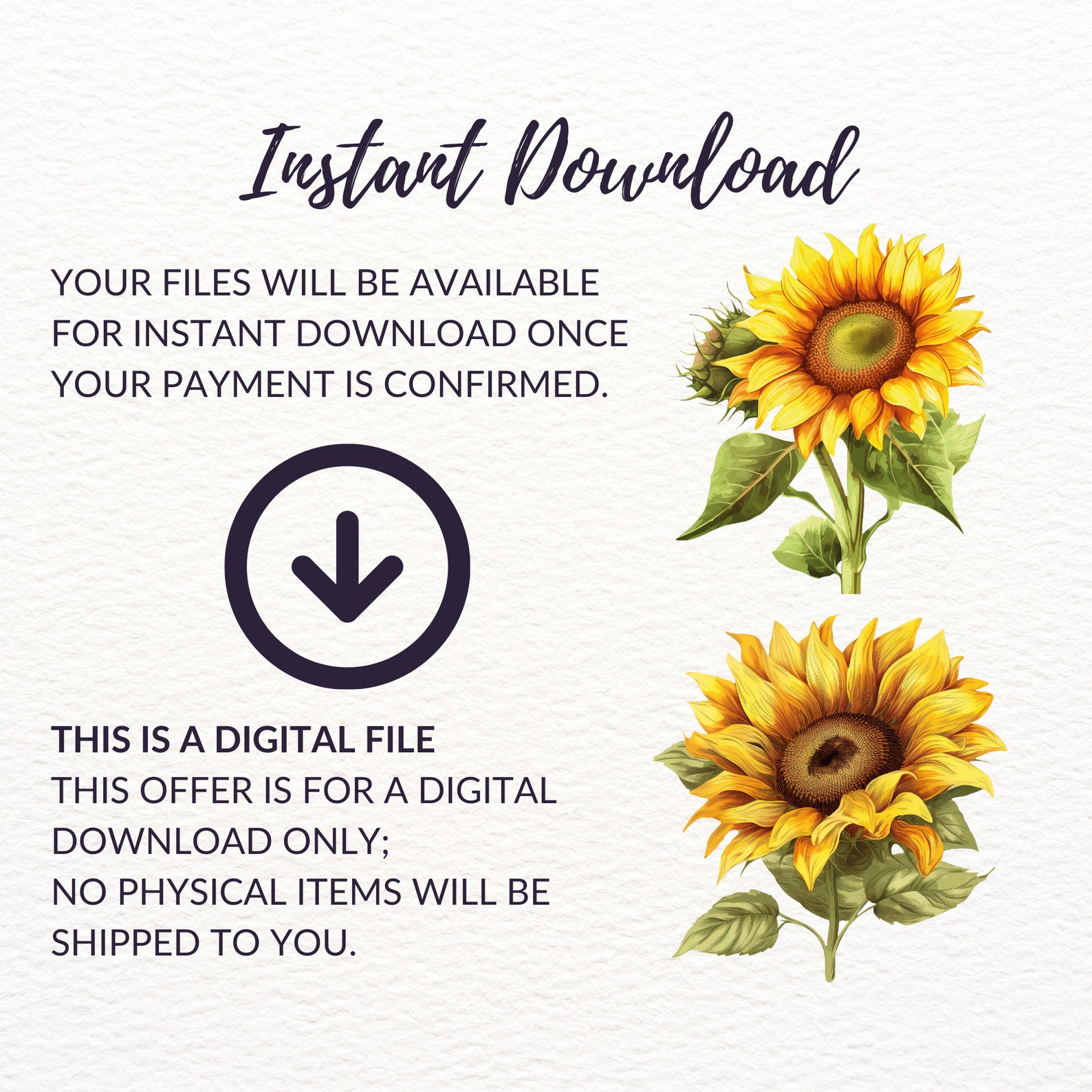 Watercolor Sunflower Clipart Bundle - 20 Sunflower PNG Images ...