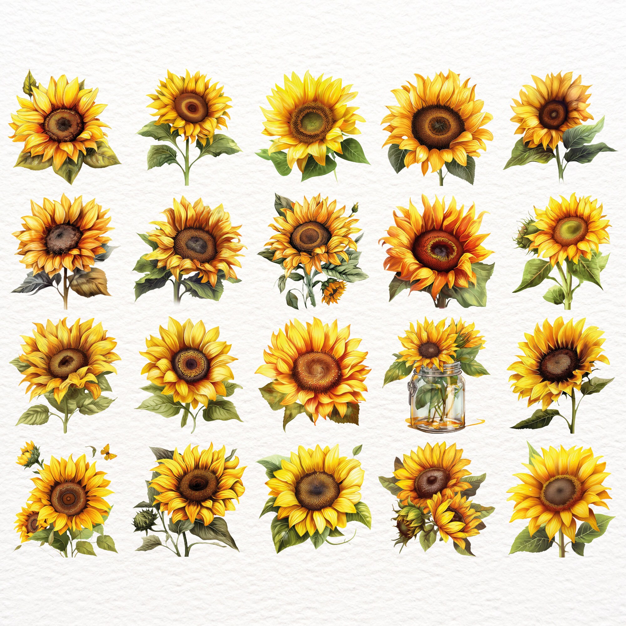 Watercolor Sunflower Clipart Bundle - 20 Sunflower PNG Images ...