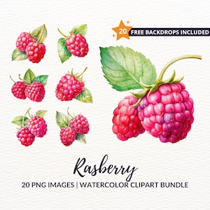 Watercolor Raspberry Clipart Bundle - 20 Juicy Berry Illustrations, Instant Download, Commercial Use