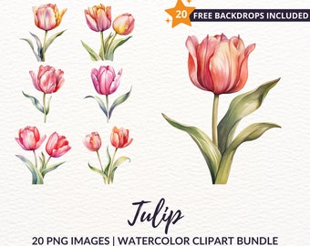 Watercolor Tulip Clipart Bundle - 20 Floral Spring PNG Graphics, Instant Download, Commercial Use