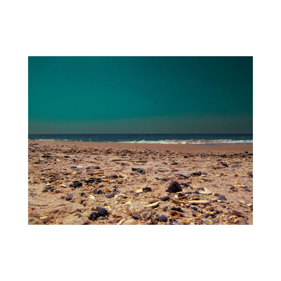 Seashells on the Beach Gulf Shores, Alabama Digital Download Etsy