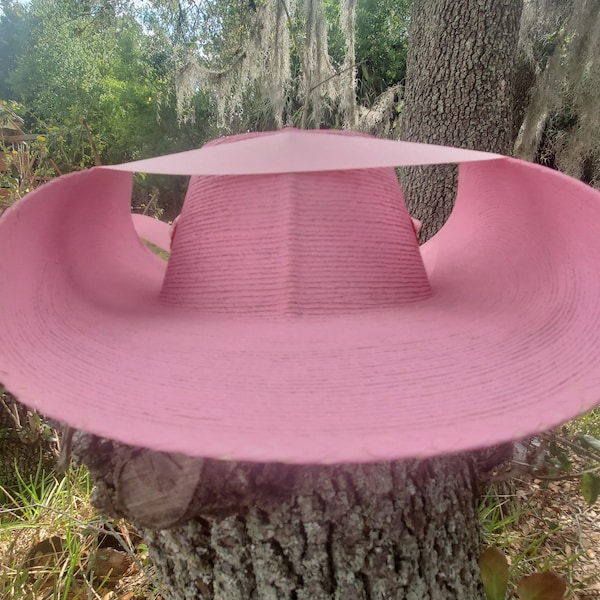 Calentano Sombrero Para Mujer Tlapehuala Guerrerense Guerrero Mexico Mexican Cowgirl Western