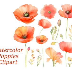 Coquelicots Clipart aquarelle, Coquelicots Bundle Clipart, Clipart botanique, Invitation Clipart, feuillage, Clipart