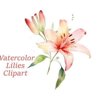 Lilies Watercolor Clipart, Lilies Bundle Clipart, Botanical Clipart, Invitation Clipart, Foliage, Clipart