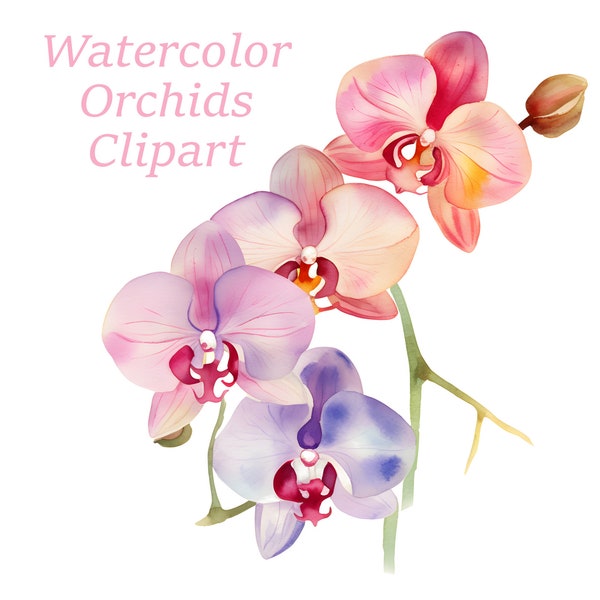 Orchids Watercolor Clipart, Orchids Bundle Clipart, Botanical Clipart, Invitation Clipart, Foliage, Clipart