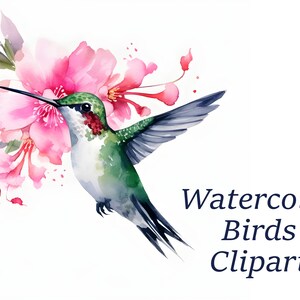 Watercolor Birds Clipart, Bird Bundle Clipart, Invitation Clipart, Clipart, Home Decor